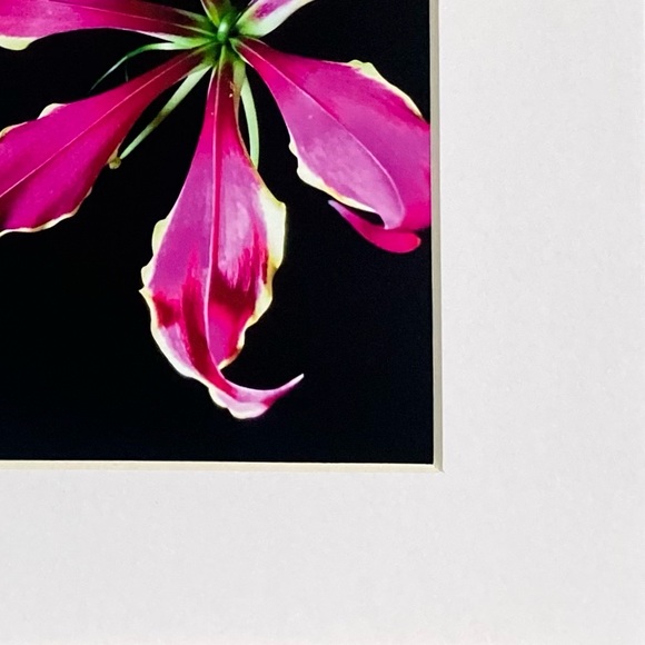 “YOU SPIN ME ROUND” ~ ORIGINAL ART by ~ @lisamichellebeckerphotography - Picture 3 of 13